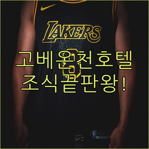 고베 호텔 추천 산노미야역 근처 조식 맛있는 온천 숙소 베스트 5