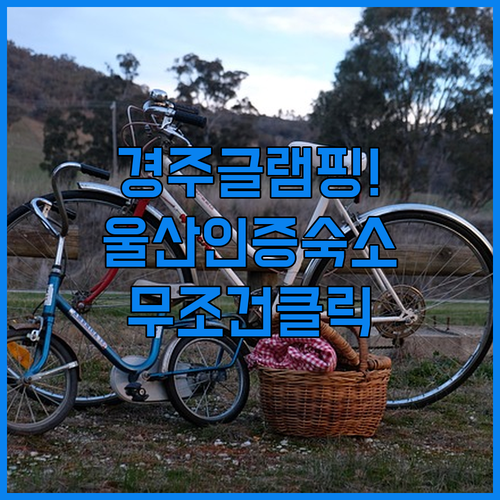 직접 확인한 경주 글램핑과 울산 위생 인증 숙소 추천 이용 팁 안내