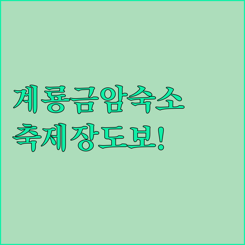 계룡 금암동 숙소 추천 및 시청 인근 축제장 도보 이동 명소 정리