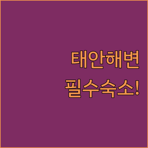 서해 바다 여행 필수 코스 태안 만리포와 신두리 해변 인기 숙소 추천 및 예약 꿀팁