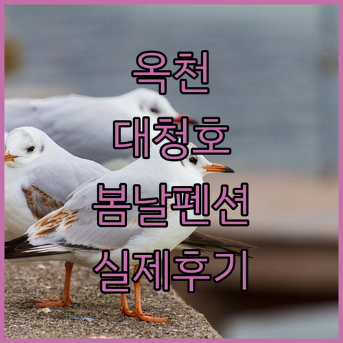 옥천 대청호텔 봄날펜션 실제 후기로 비교한 베스트 숙소