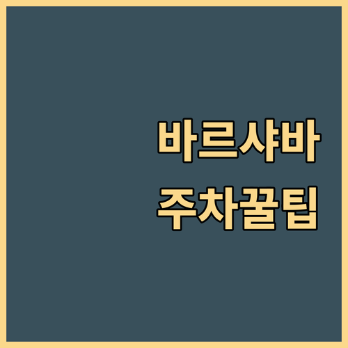 폴란드 바르샤바 여행 초보 운전자를 위한 무명용사의 묘 인근 유료 주차장 위치와 요금 정리