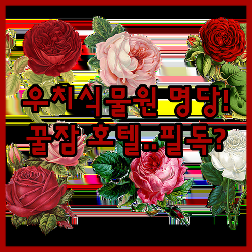 실패 없는 우치 식물원 방문 시기 확인하고 위치 좋은 호텔 예약하기