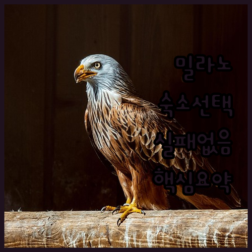 밀라노 자유여행 숙소 선택 가이드 객실 사진과 부대시설 이용 정보 정리