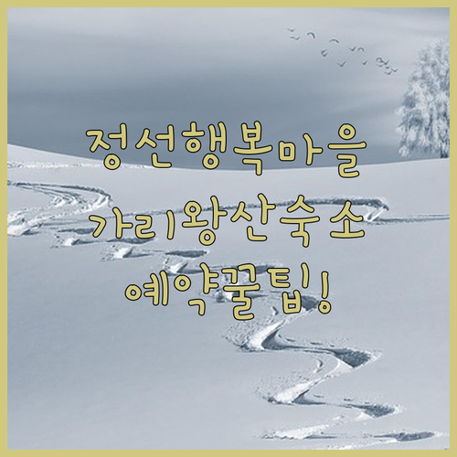 겨울 정선 여행 장열 365행복마을 방문 후기와 가리왕산 인근 인기 숙소 예약 가이드
