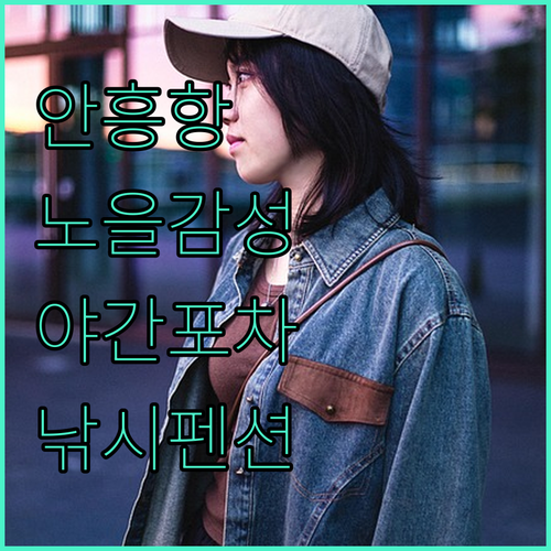 서해안 안흥항 노을 여행 야간 포장마차 감성과 낚시 가능 펜션 숙박 후기