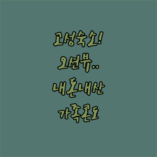 고성 오션뷰 호텔부터 가족 여행용 콘도까지 내돈내산 스타일별 숙소 정리