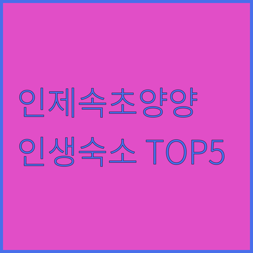 강원도 인제 속초 양양 숙소 추천 베스트 5곳 비교 분석 및 리얼 투숙 후기