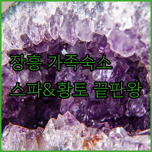 전남 장흥 가족 여행 숙소 추천 스파 리조트와 황토 펜션 시설 분석