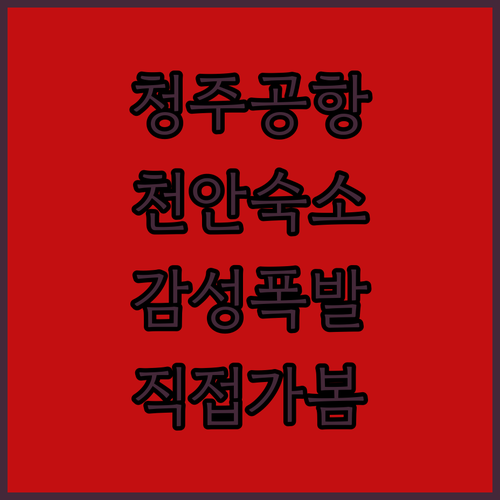 청주공항 근처 호텔부터 천안 감성 숙소까지 직접 가본 듯한 상세 후기