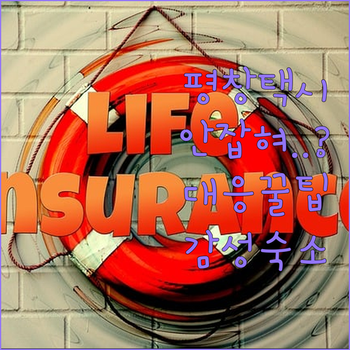 평창 택시 안 잡힐 때 대응 방법과 안전한 휴식을 위한 평창 펜션 숙소 추천