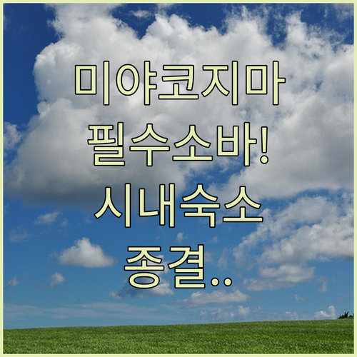 미야코지마 여행 필수 먹거리 소바 특징과 히라라 시내 접근성 좋은 인기 숙소 정보
