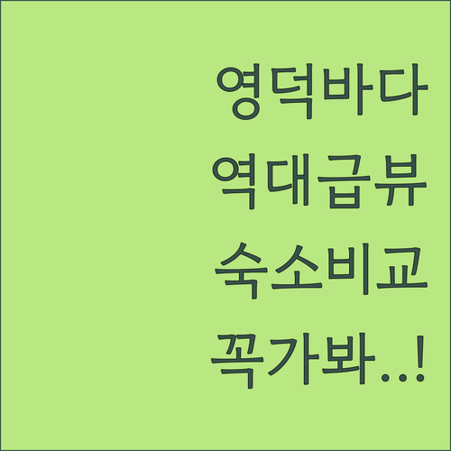 바다 전망이 예쁜 영덕 숙소 유형별 비교와 시설 만족도 후기 확인하기
