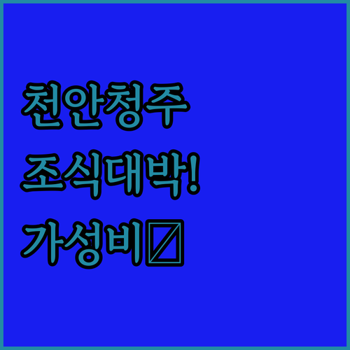직접 가본 천안 청주 숙소 추천 조식 맛있는 비즈니스 가성비 호텔 후기