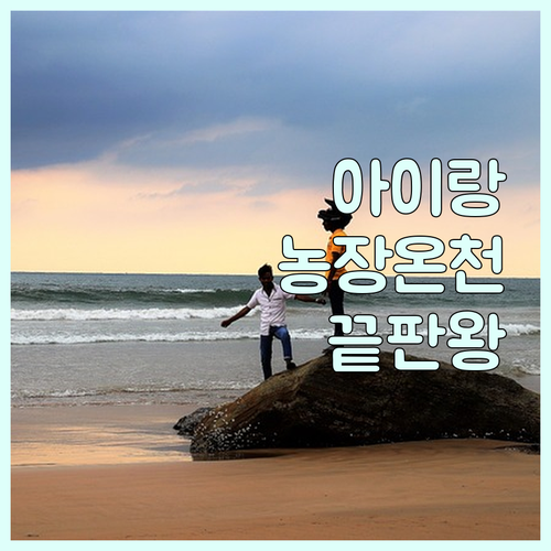 아이와 함께하는 나카쓰 여행 농장 체험부터 온천 있는 숙소까지 완벽 분석