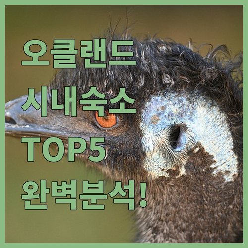 뉴질랜드 오클랜드 시내 숙소 추천 5곳 위치와 장단점 완벽 분석