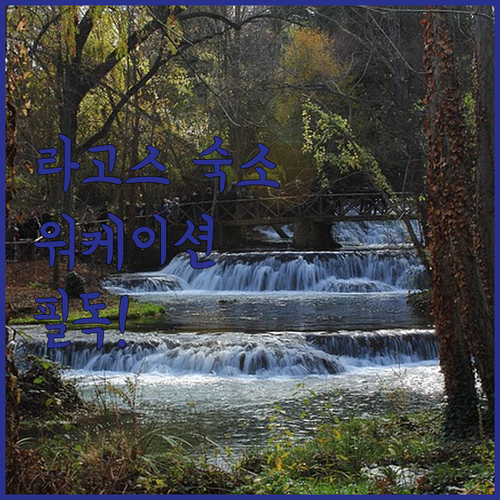 라고스 워케이션 숙소 추천 및 시장 주변 디지털 노마드 작업 환경 분석