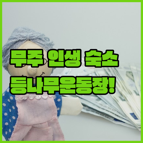 전북 무주 등나무운동장 주변 숙소 베스트 5 위치 시설 실제 방문 후기 분석 깨끗한 펜션 리스트