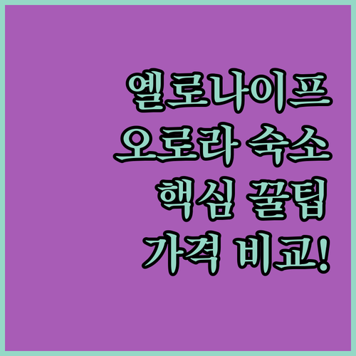 옐로나이프 숙소 추천 5곳 오로라 투어 접근성 시설 가격 후기 분석