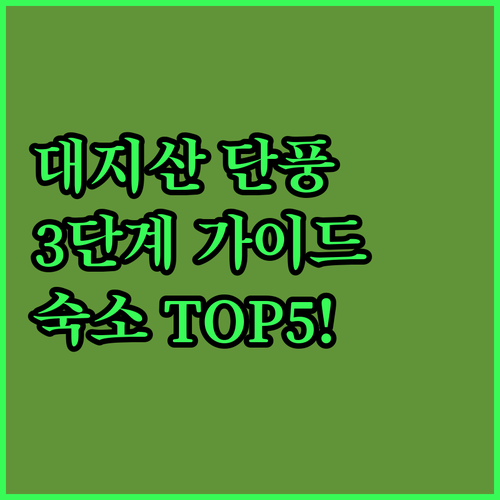 대지산 가을 단풍 3단계 여행 가이드와 주변 숙소 추천 TOP 5 위치 장점 후기 분석