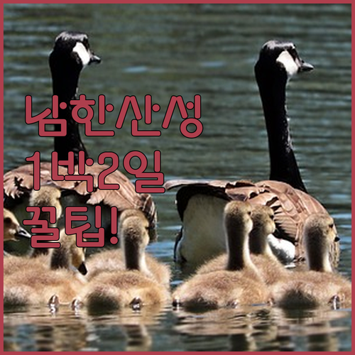 광주 남한산성 가족나들이 1박 2일 코스 추천 숙소 위치 장점 후기 분석