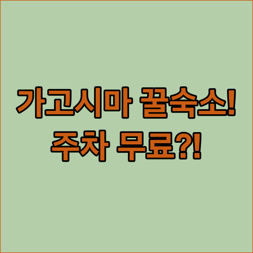 가고시마 여행 숙소 정리 중앙역 편리한 곳 무료 주차 가능한 곳 후기