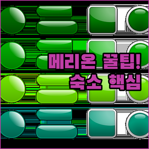 더블린 메리온 스퀘어 현지인처럼 즐기는 법 숙소 5곳 비교 분석