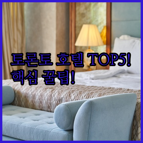 토론토 호텔 추천 TOP 5 가격 위치 시설 후기 분석 예약 가이드
