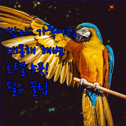 image 584db858