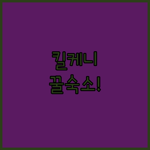 킬케니 여행 숙소 고르기 럭셔리 리조트 B&B 도심호텔 비교 후기