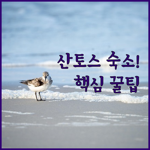 image eb039e1a