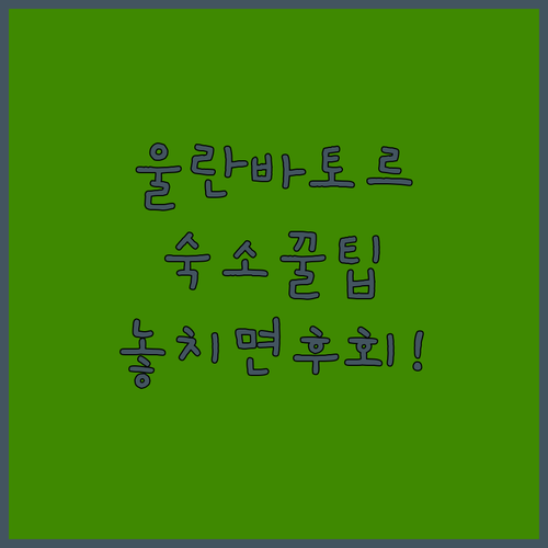 울란바토르 숙소 추천 3곳 위치 가격 조식 시설 후기 분석 칭기즈칸 호텔 울란바토르 호텔 어반 노마드 호스텔