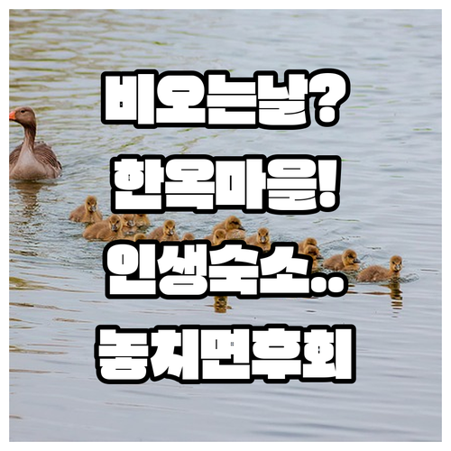 전주 숙소 추천 비 오는 날 한옥마을에서 편안하게 쉬기 좋은 호텔