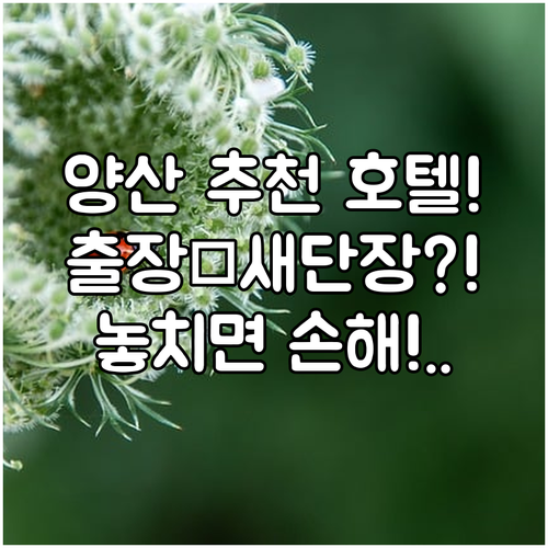 양산 호텔 추천 남양산IC 근처 출장 숙소부터 최근 리노베이션한 곳까지