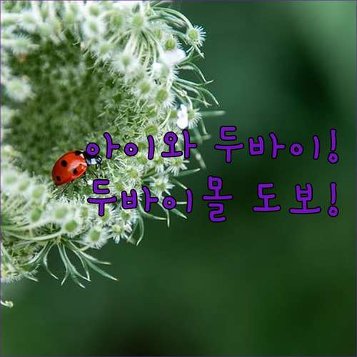 image cb245448