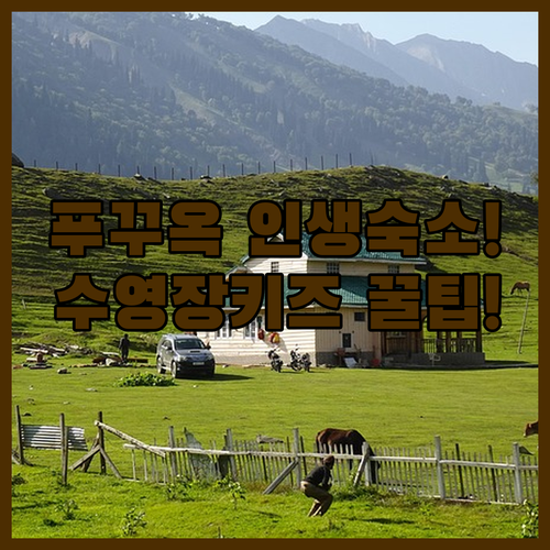 image ccdc8734