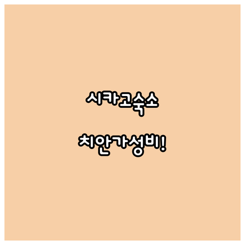 시카고 숙소 추천 관광지 접근성과 치안 고려한 가성비 호텔